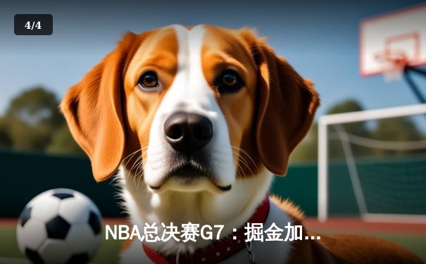 NBA总决赛G7：掘金加时险胜热火，约基奇41+13+8率队首夺总冠军 - 4